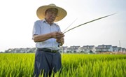 感知秋意浓，共话丰收美
